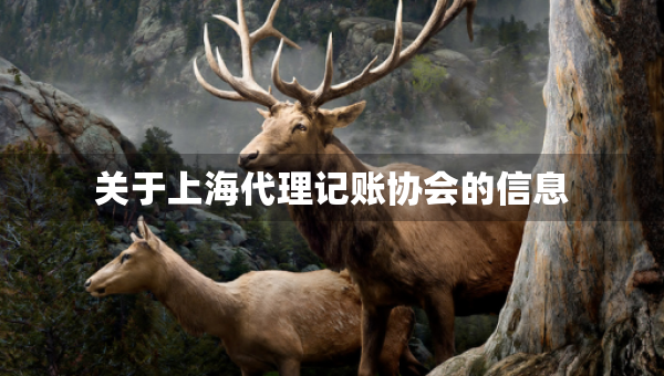 關(guān)于上海代理記賬協(xié)會(huì)的信息