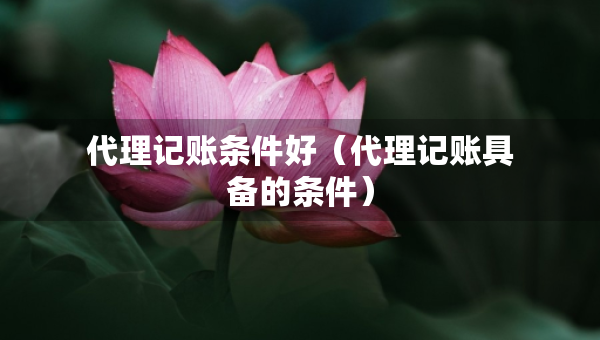 代理記賬條件好（代理記賬具備的條件）
