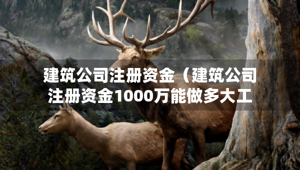 建筑公司注冊資金（建筑公司注冊資金1000萬能做多大工程）