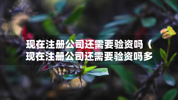 現(xiàn)在注冊(cè)公司還需要驗(yàn)資嗎（現(xiàn)在注冊(cè)公司還需要驗(yàn)資嗎多少錢）