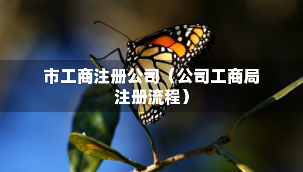 市工商注冊公司（公司工商局注冊流程）