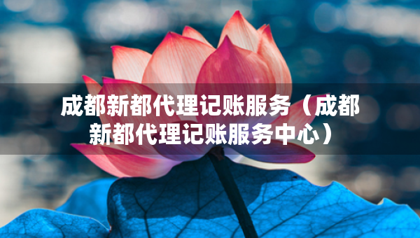 成都新都代理記賬服務(wù)（成都新都代理記賬服務(wù)中心）