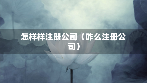 怎樣樣注冊(cè)公司（咋么注冊(cè)公司）