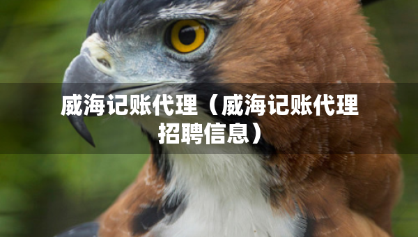 威海記賬代理（威海記賬代理招聘信息）