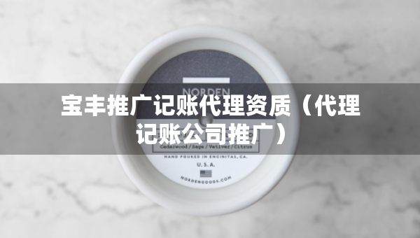 寶豐推廣記賬代理資質(zhì)（代理記賬公司推廣）