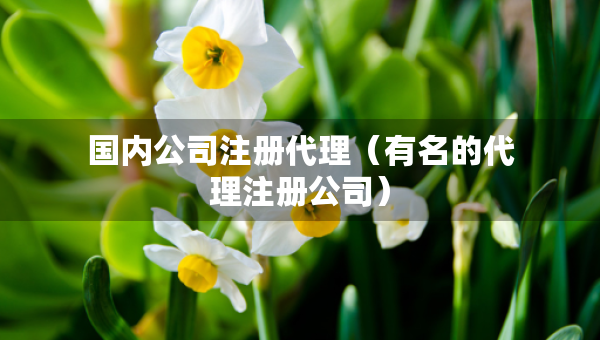 國(guó)內(nèi)公司注冊(cè)代理（有名的代理注冊(cè)公司）