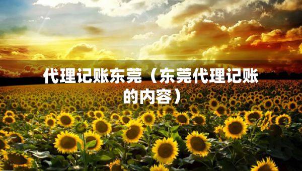 代理記賬東莞（東莞代理記賬的內(nèi)容）