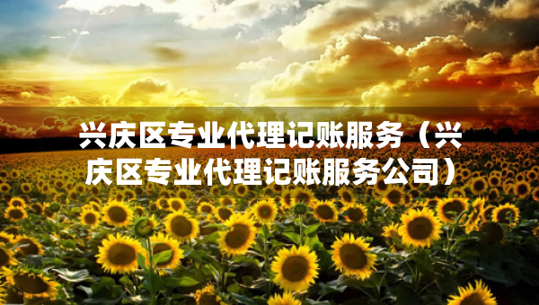 興慶區(qū)專(zhuān)業(yè)代理記賬服務(wù)（興慶區(qū)專(zhuān)業(yè)代理記賬服務(wù)公司）