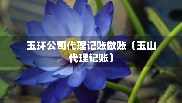玉環(huán)公司代理記賬做賬（玉山代理記賬）