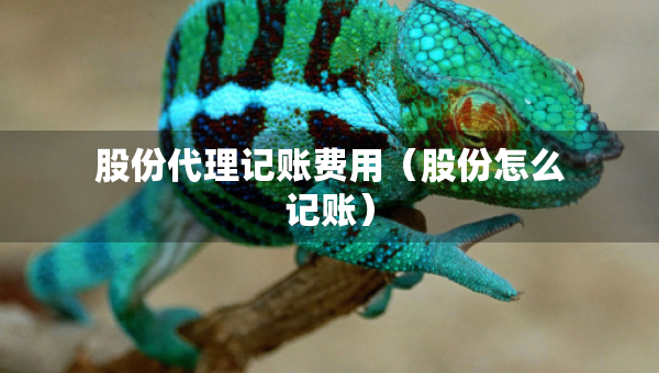 股份代理記賬費用（股份怎么記賬）