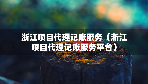 浙江項目代理記賬服務(wù)（浙江項目代理記賬服務(wù)平臺）