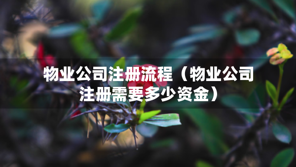 物業(yè)公司注冊流程（物業(yè)公司注冊需要多少資金）