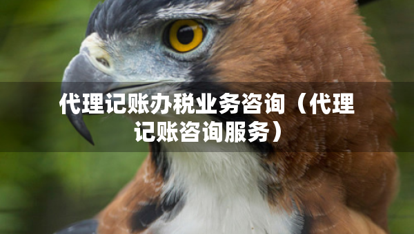 代理記賬辦稅業(yè)務(wù)咨詢（代理記賬咨詢服務(wù)）