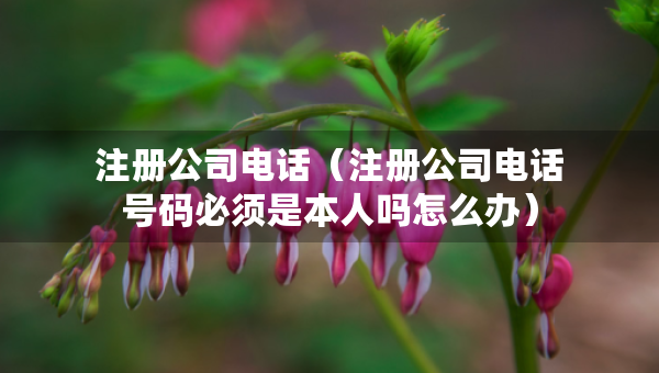 注冊公司電話（注冊公司電話號碼必須是本人嗎怎么辦）