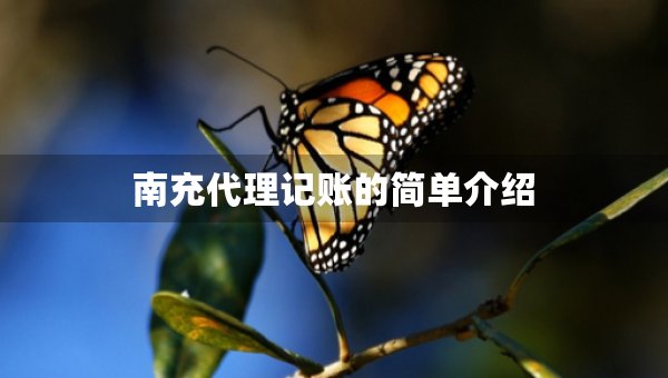 南充代理記賬的簡單介紹