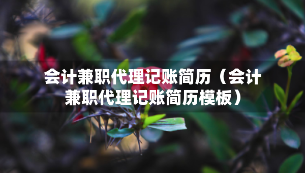會計兼職代理記賬簡歷（會計兼職代理記賬簡歷模板）