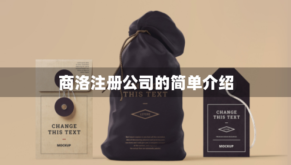 商洛注冊公司的簡單介紹