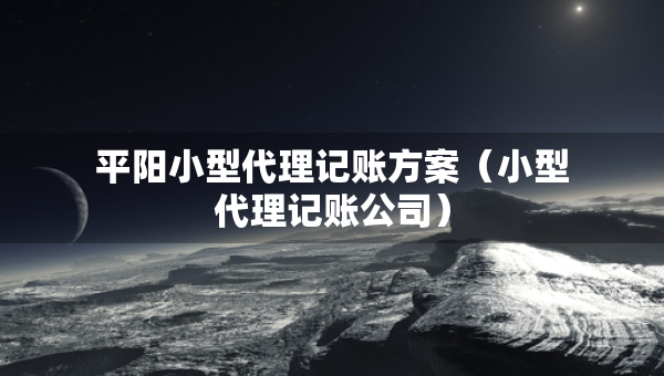 平陽小型代理記賬方案（小型代理記賬公司）