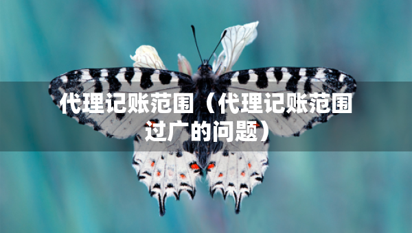 代理記賬范圍（代理記賬范圍過廣的問題）