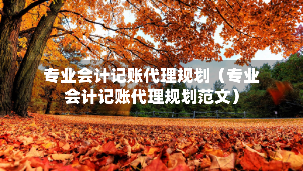 專業(yè)會(huì)計(jì)記賬代理規(guī)劃（專業(yè)會(huì)計(jì)記賬代理規(guī)劃范文）