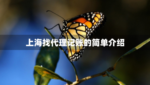 上海找代理記賬的簡(jiǎn)單介紹