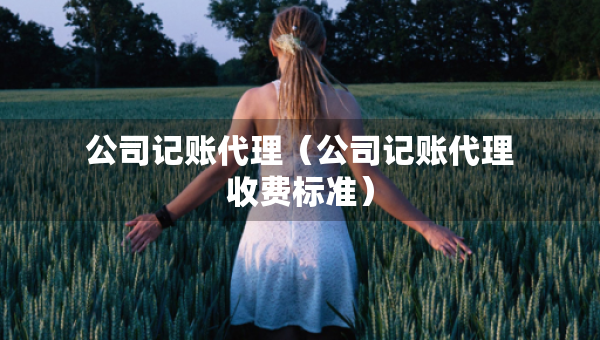 公司記賬代理（公司記賬代理收費標(biāo)準(zhǔn)）
