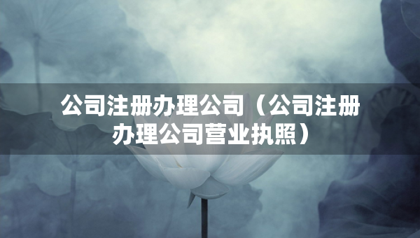 公司注冊辦理公司（公司注冊辦理公司營業(yè)執(zhí)照）