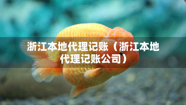浙江本地代理記賬（浙江本地代理記賬公司）