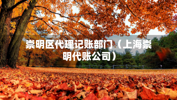 崇明區(qū)代理記賬部門（上海崇明代賬公司）