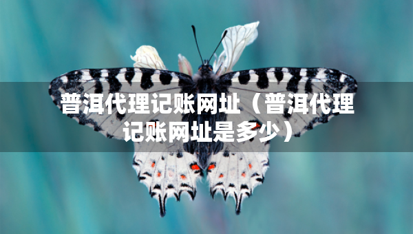 普洱代理記賬網(wǎng)址（普洱代理記賬網(wǎng)址是多少）