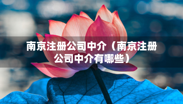 南京注冊(cè)公司中介（南京注冊(cè)公司中介有哪些）