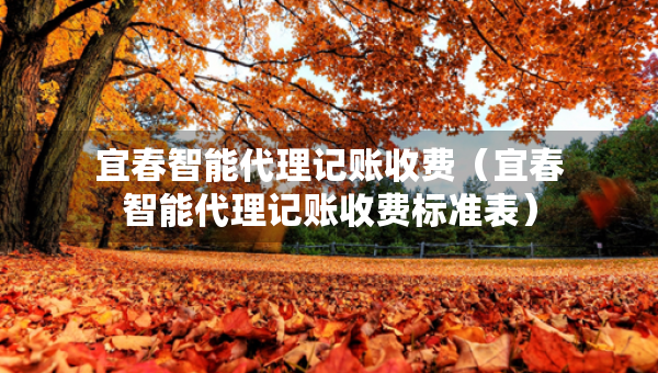 宜春智能代理記賬收費(fèi)（宜春智能代理記賬收費(fèi)標(biāo)準(zhǔn)表）