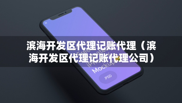 濱海開發(fā)區(qū)代理記賬代理（濱海開發(fā)區(qū)代理記賬代理公司）