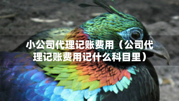 小公司代理記賬費(fèi)用（公司代理記賬費(fèi)用記什么科目里）