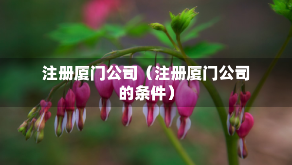 注冊廈門公司（注冊廈門公司的條件）