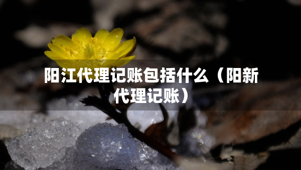 陽江代理記賬包括什么（陽新代理記賬）
