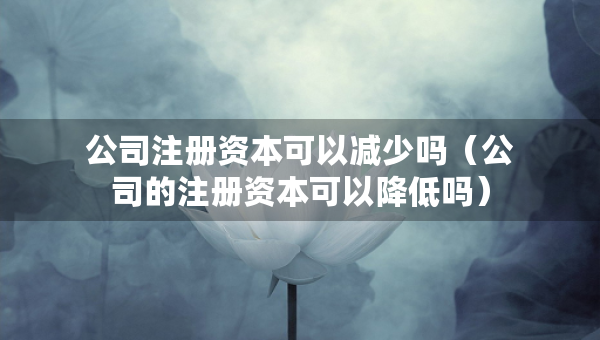 公司注冊資本可以減少嗎（公司的注冊資本可以降低嗎）