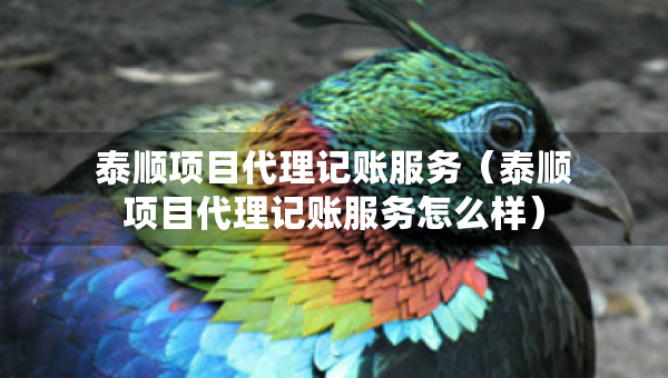 泰順項目代理記賬服務(wù)（泰順項目代理記賬服務(wù)怎么樣）