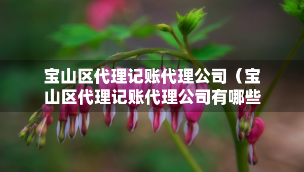 寶山區(qū)代理記賬代理公司（寶山區(qū)代理記賬代理公司有哪些）