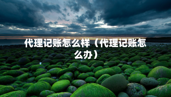 代理記賬怎么樣（代理記賬怎么辦）