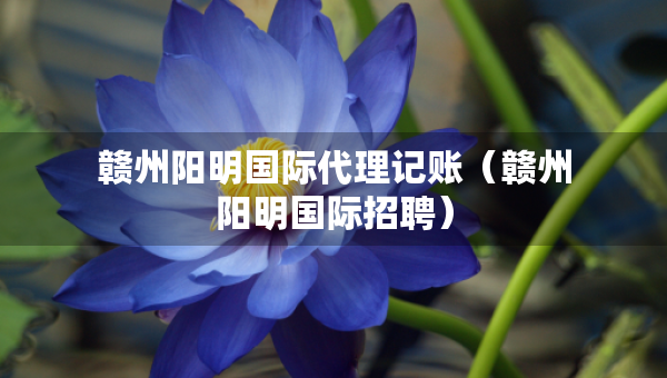 贛州陽明國際代理記賬（贛州陽明國際招聘）