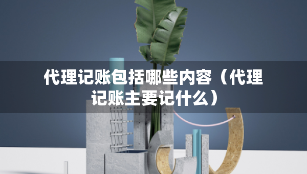 代理記賬包括哪些內(nèi)容（代理記賬主要記什么）