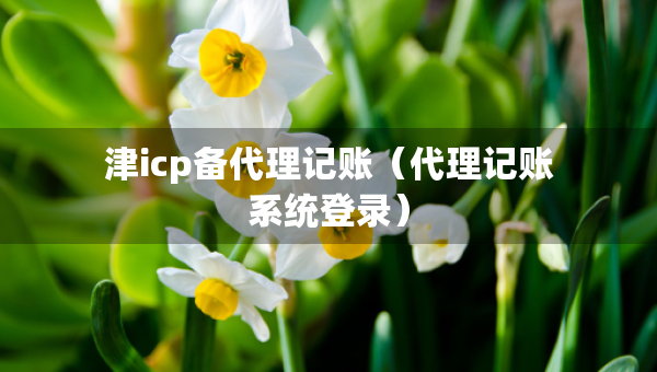 津icp備代理記賬（代理記賬系統(tǒng)登錄）