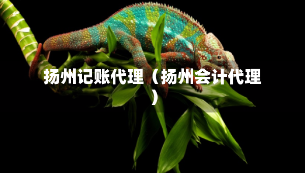 揚(yáng)州記賬代理（揚(yáng)州會(huì)計(jì)代理）