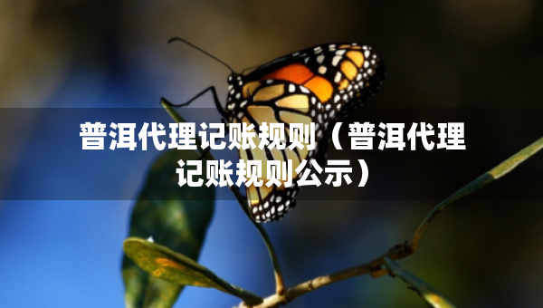 普洱代理記賬規(guī)則（普洱代理記賬規(guī)則公示）
