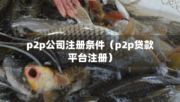 p2p公司注冊條件（p2p貸款平臺注冊）