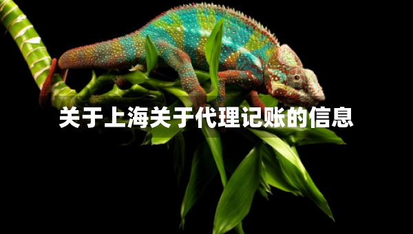 關(guān)于上海關(guān)于代理記賬的信息