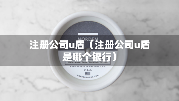 注冊(cè)公司u盾（注冊(cè)公司u盾是哪個(gè)銀行）