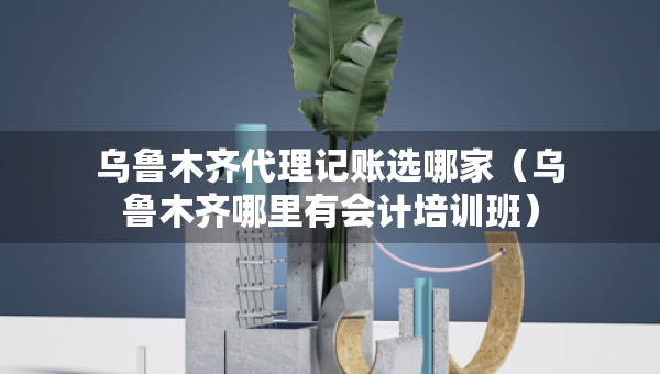 烏魯木齊代理記賬選哪家（烏魯木齊哪里有會(huì)計(jì)培訓(xùn)班）