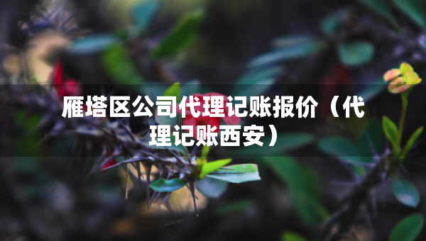 雁塔區(qū)公司代理記賬報價（代理記賬西安）